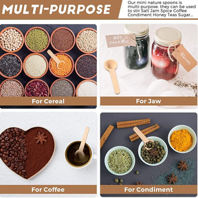 Mini Wooden Spoons Set (6-Pack) – Natural Scoops for Spices, Salt, Coffee & Bath Jars